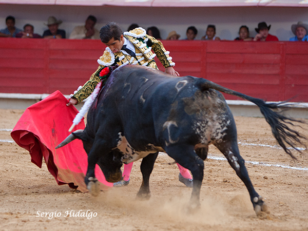 Buscando el mejor perfil