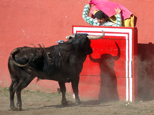Un saludo de respeto