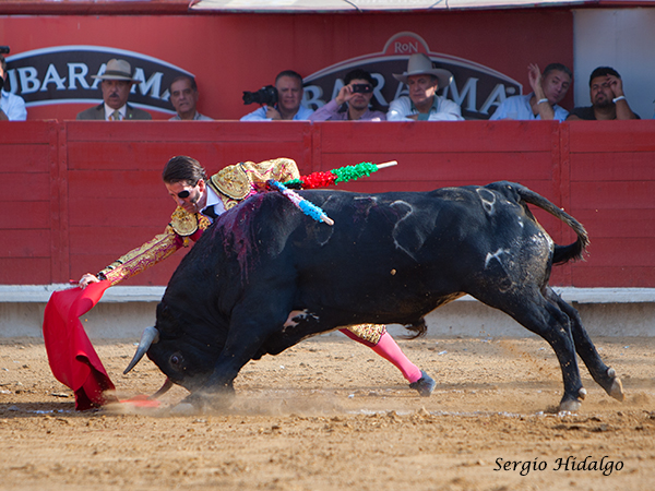 Dobl�ndose con el toro