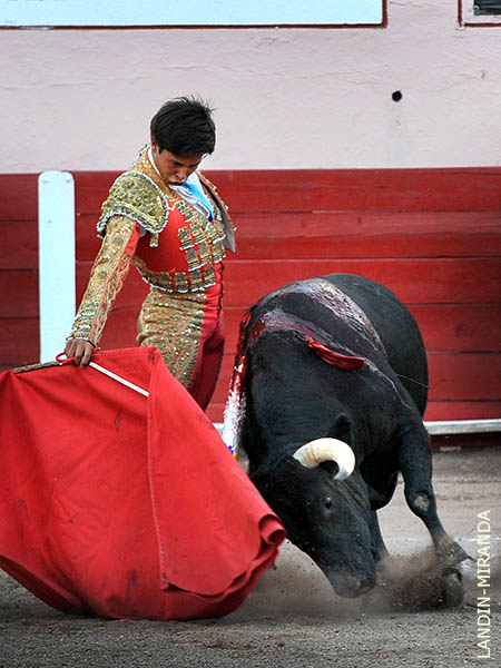 Barbilla en el pecho