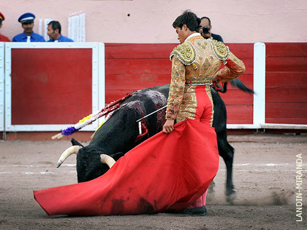 Remate a las tandas de naturales