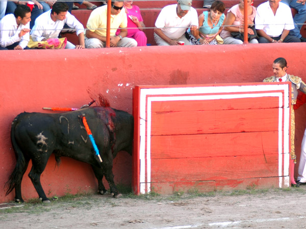 ��Hay alguien en casa?�