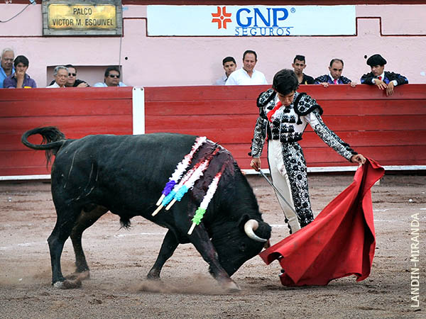 Verticalidad de Salvatierra