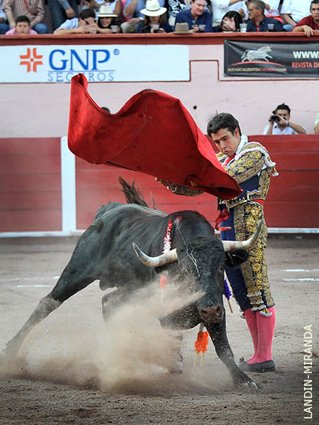 Detalles de torer�a