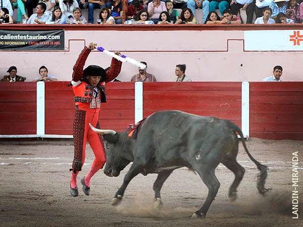 Kingston padre, a la mexicana