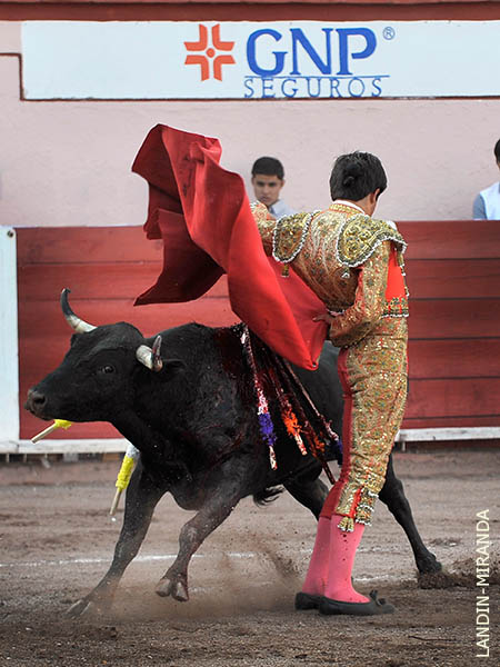 Ajustadas bernadinas