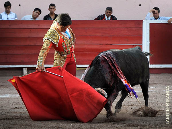 Una interesante estructura