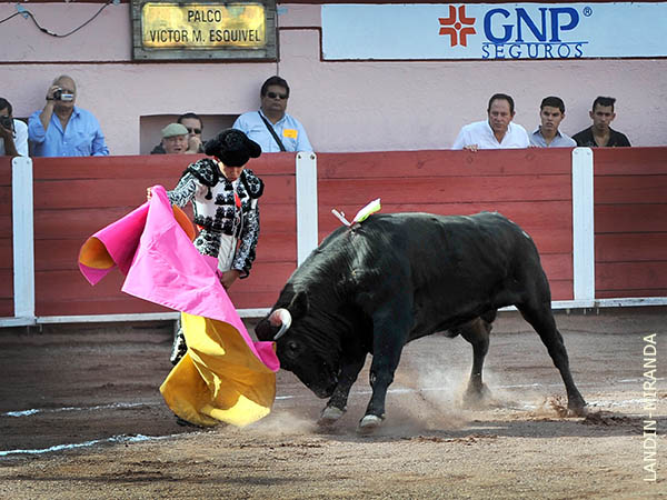 Lances de Jorge Salvatierra