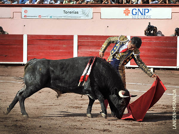 Buen pit�n izquierdo