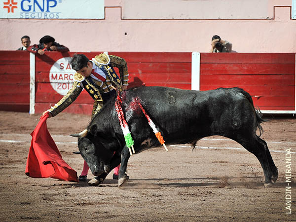 La determinaci�n del chaval