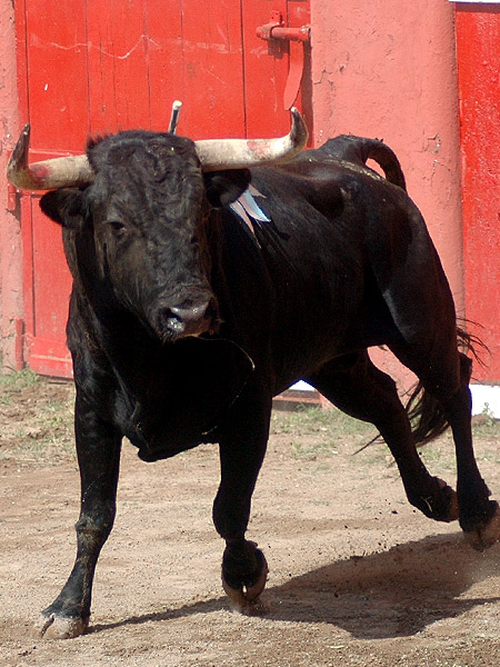 Mejor presentados, imposible