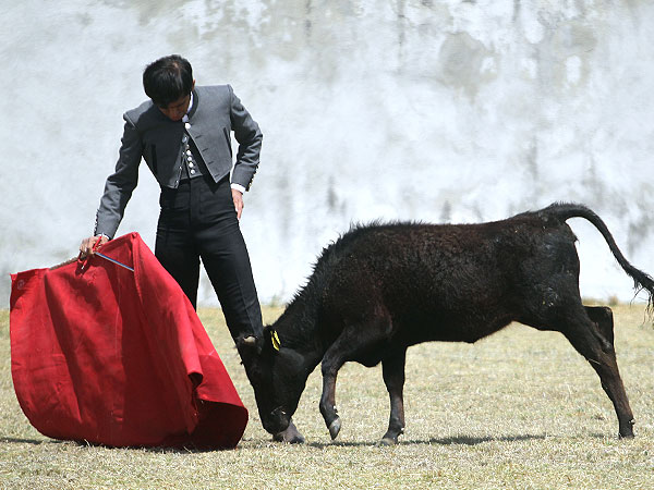 Buenas vacas de Tepetzala