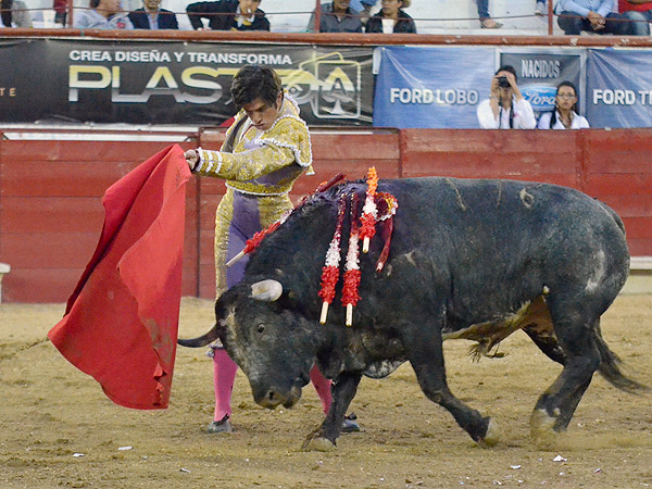 El esfuerzo de Ferm�n