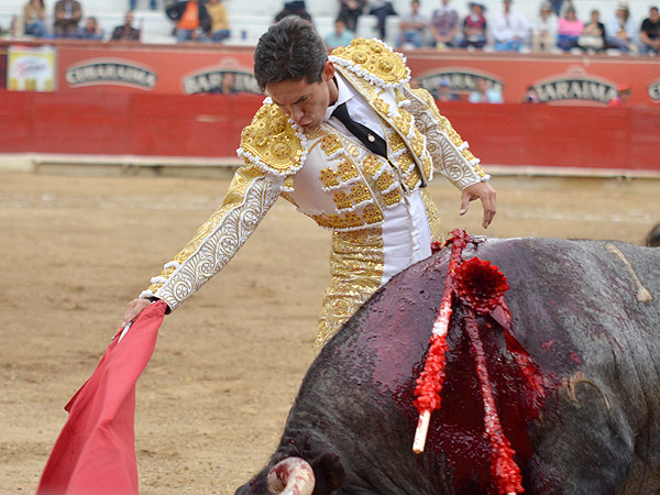 Rostro de torero