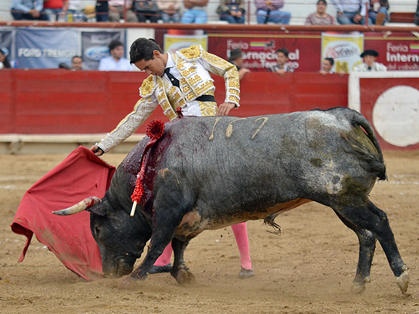 La estructura de Diego