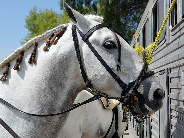 �Qu� haya suerte!