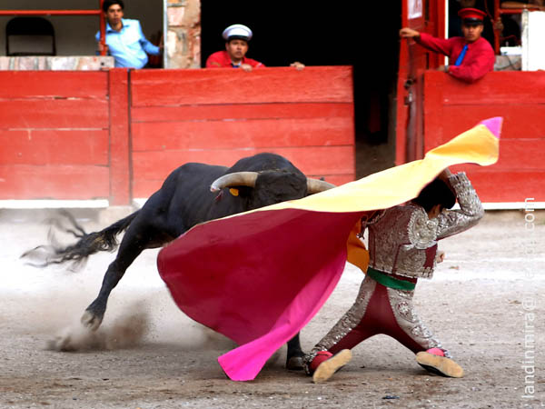 Portagayola de Didier