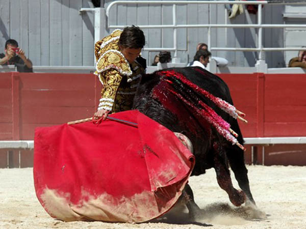 Con un pedazo de toro