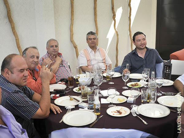 Taurinos de pura cepa