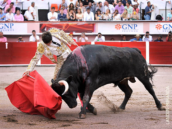 Se par� a seguir toreando