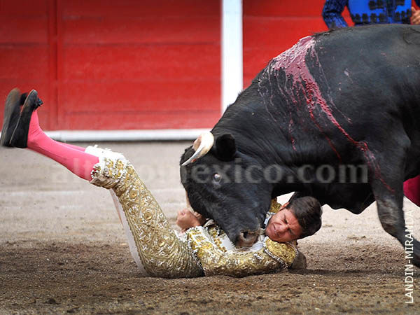 El pit�n en el vientre