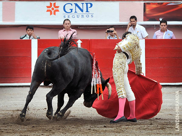 Poco ayud� su lote