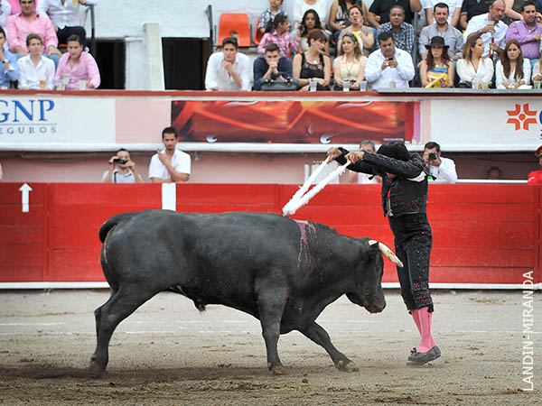 El par de Felipe Kingston