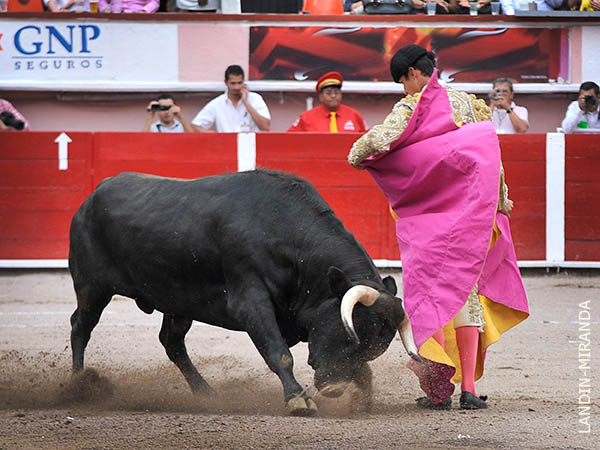 Lucido en las chicuelinas