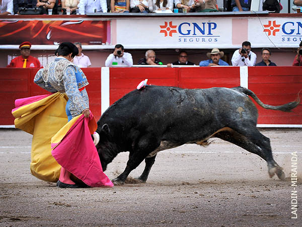 Repleto de entrega y ce�imiento