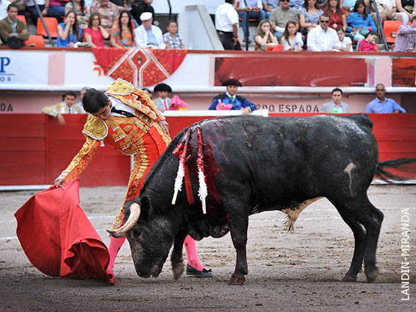 Temple, ese que le viene gen�tico