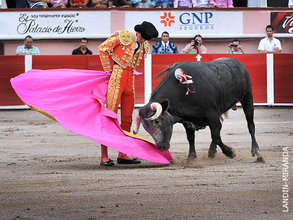 Los vuelos del capote