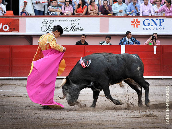 Saludo de Diego S�nchez