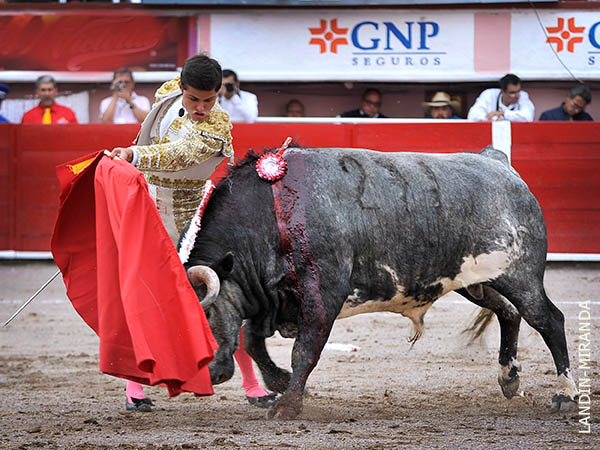 El lote con m�s kilos