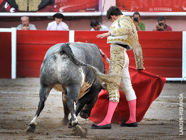 Intuici�n y naturalidad