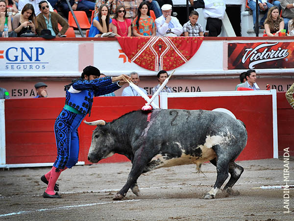 Gustavo, ovacionado en el par