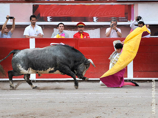 Larga de Javier Castro