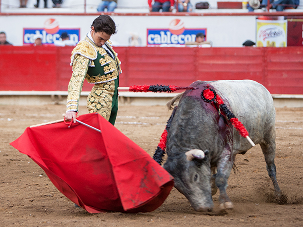 Jos� Mauricio, clase