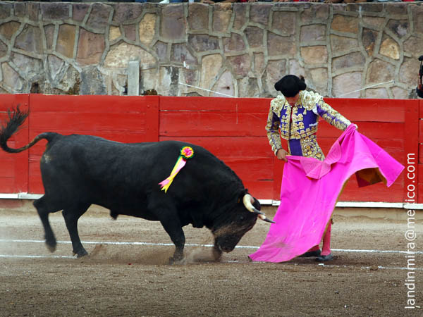 Santiago a la ver�nica