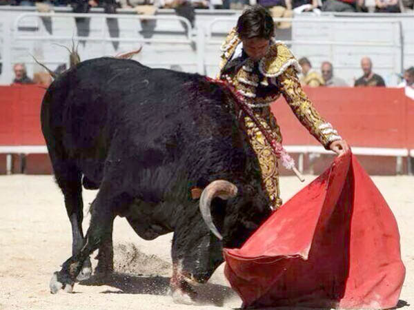 Llev�ndolo toreado