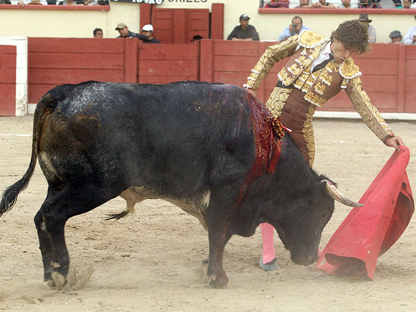 Sitio y buenas maneras