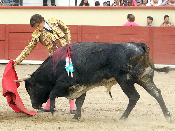 Le sac� provecho a su lote