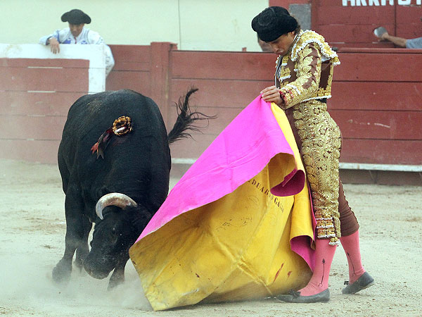 Gallo lanceando al cierraplaza