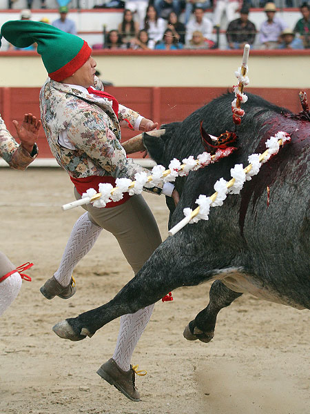 El gran valor de los forcados