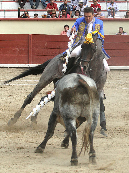 En los terrenos del toro