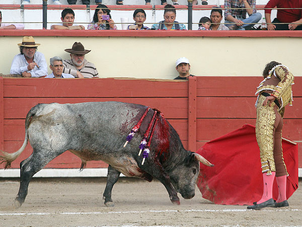 Tray�ndolo toreado