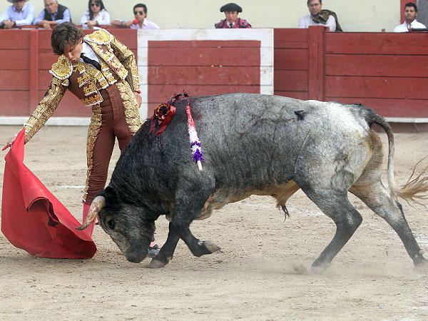 Extraordinario trazo