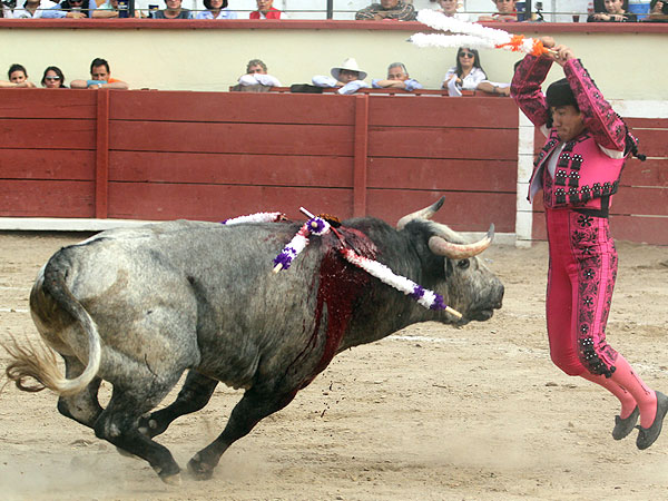 Diego en la cara del toro
