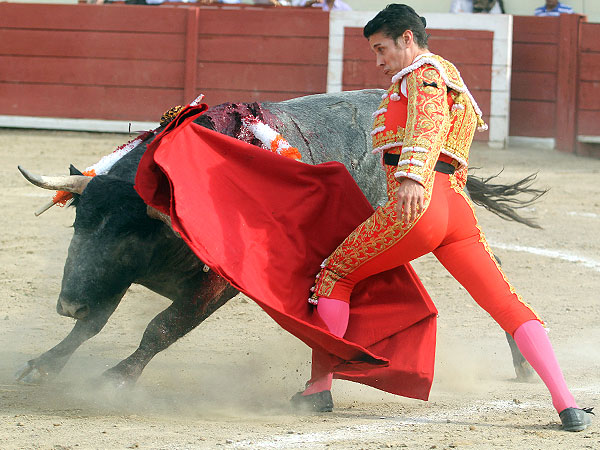 Dominando al toro