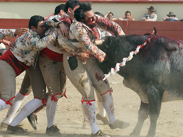 Los Forcados Mexicanos