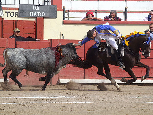 Acariciando el testuz